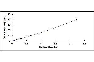 Typical standard curve