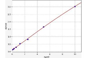Typical standard curve (Solute Carrier Family 17 (Acidic Sugar Transporter), Member 5 (SLC17A5) ELISA 试剂盒)
