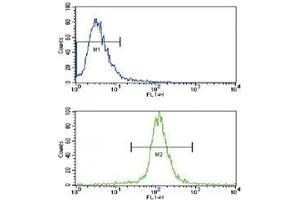 Flow Cytometry (FACS) image for anti-Caspase 3 (CASP3) (AA 60-90) antibody (ABIN3030306)