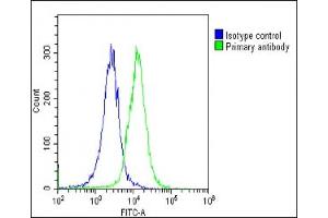 Overlay histogram showing Hela cells stained with (ABIN6244086 and ABIN6578861)(green line). (NAT10 抗体  (AA 146-178))