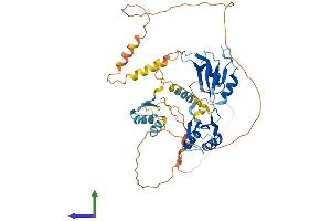 Protein Structure (PS) image for CUGBP, Elav-Like Family Member 4 (CELF4) (AA 1-486) protein (His tag) (ABIN7553233)