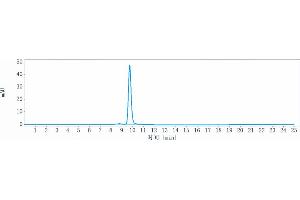 The purity of Anti-CD28 Reference Antibody (FR104) is 98.