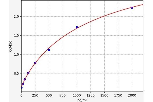 Cathepsin L2 ELISA 试剂盒