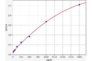 Typical standard curve (SATB2 ELISA 试剂盒)