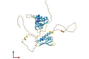 Protein Structure (PS) image for Poly(rC) Binding Protein 4 (PCBP4) (AA 1-403) protein (His tag) (ABIN7556503)