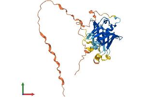 Protein Structure (PS) image for phospholipid Scramblase 3 (PLSCR3) (AA 1-296) protein (His tag) (ABIN7561564)