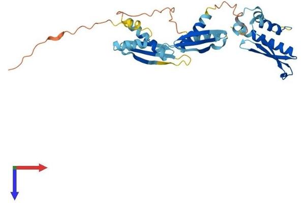 PRKRA Protein (AA 1-313) (His tag)