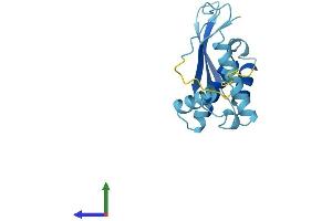 Protein Structure (PS) image for Chromosome 3 Open Reading Frame 34 (C3orf34) (AA 1-163) protein (His tag) (ABIN7560525)