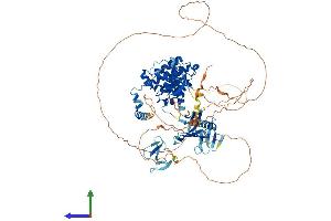 Protein Structure (PS) image for rho GTPase Activating Protein 12 (ARHGAP12) (AA 1-838) protein (His tag) (ABIN7559067)