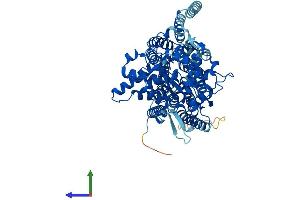 Protein Structure (PS) image for STT3, Subunit of The Oligosaccharyltransferase Complex, Homolog A (STT3A) (AA 1-705) protein (His tag) (ABIN7563282)