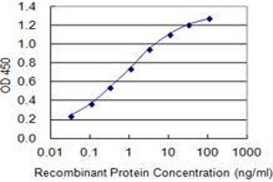 Detection limit for recombinant GST tagged LASS1 is 0. (LASS1 抗体  (AA 301-350))