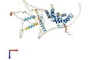 AlphaFold protein structure predicition of Mouse Recombinant Patl2 Protein, UniprotID A2ARM1