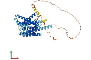 Protein Structure (PS) image for Solute Carrier Family 35, Member D3 (SLC35D3) (AA 1-416) protein (His tag) (ABIN7545877)