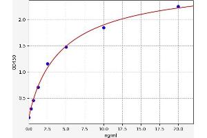 Typical standard curve (PRKACB ELISA 试剂盒)