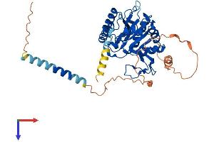 B3GALT2 Protein (AA 1-422) (His tag)
