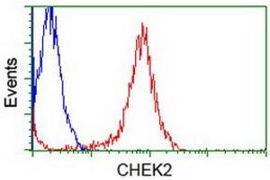 Flow Cytometry (FACS) image for anti-Checkpoint Kinase 2 (CHEK2) antibody (ABIN1497500) (CHEK2 抗体)