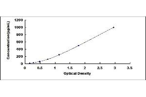 Typical standard curve (Iba1 ELISA 试剂盒)
