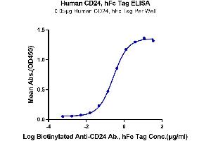 CD24 Molecule (CD24) (AA 27-59) protein (Fc Tag)