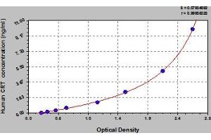Typical Standard Curve (Calreticulin ELISA 试剂盒)