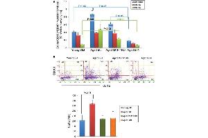 Flow Cytometry (FACS) image for anti-Collagen, Type I (COL1) antibody (ABIN5596819)