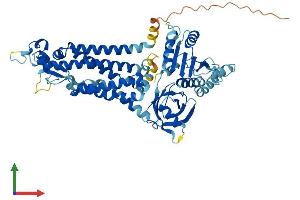 Protein Structure (PS) image for NADPH Oxidase 1 (NOX1) (AA 1-591) protein (His tag) (ABIN7559384)