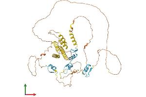 Protein Structure (PS) image for Zinc Finger and BTB Domain Containing 2 (ZBTB2) (AA 1-514) protein (His tag) (ABIN7545226)
