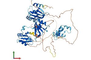 Protein Structure (PS) image for APOBEC1 Complementation Factor (A1CF) (AA 1-594) protein (His tag) (ABIN7551748)