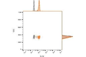 Flow cytometry analysis of bead-bound exosomes derived from MCF-7 cells. (Recombinant CD81 抗体)