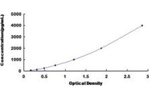 Typical standard curve (Cadherin 13 ELISA 试剂盒)