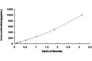 Typical standard curve (INSL5 ELISA 试剂盒)