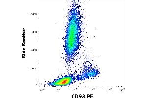 Flow cytometry surface staining pattern of human peripheral whole blood stained using anti-human CD93 (VIMD2) PE antibody (10 μL reagent / 100 μL of peripheral whole blood). (CD93 抗体  (PE))