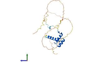 Protein Structure (PS) image for Homeobox B7 (HOXB7) (AA 1-217) protein (His tag) (ABIN7562766)