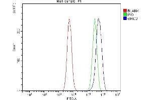 Flow Cytometry analysis of C6 cells using anti-GRID2 antibody (ABIN7603172).