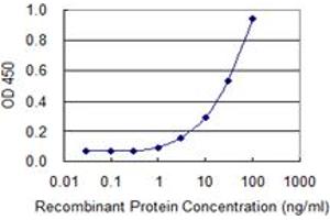 Detection limit for recombinant GST tagged SLC3A1 is 0. (SLC3A1 抗体  (AA 211-320))
