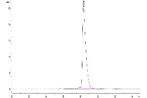 Size-exclusion chromatography-High Pressure Liquid Chromatography (SEC-HPLC) image for Signaling Lymphocytic Activation Molecule Family Member 1 (SLAMF1) (AA 25-242) protein (His tag) (ABIN7275624)