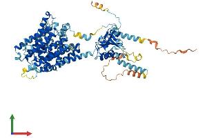Protein Structure (PS) image for Solute Carrier Family 26, Member 5 (Prestin) (SLC26A5) (AA 1-744) protein (His tag) (ABIN7555350)