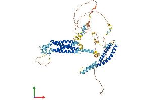 AlphaFold protein structure predicition of Mouse Recombinant Marveld2 Protein, UniprotID Q3UZP0 (Tricellulin Protein (MARVELD2) (AA 1-555) (His tag))