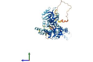 Protein Structure (PS) image for Membrane Protein, Palmitoylated 7 (MAGUK p55 Subfamily Member 7) (MPP7) (AA 1-576) protein (His tag) (ABIN7558920)