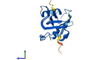 Protein Structure (PS) image for Nudix (Nucleoside Diphosphate Linked Moiety X)-Type Motif 15 (NUDT15) (AA 1-170) protein (His tag) (ABIN7558536)