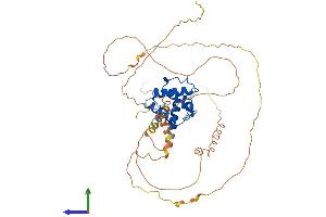 Protein Structure (PS) image for Calponin Homology Associated Smooth Muscle Protein (SMTNL1) (AA 1-459) protein (His tag) (ABIN7560379)