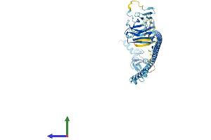 Protein Structure (PS) image for TRIM17 / RNF16 (TRIM17) (AA 1-477) protein (His tag) (ABIN7558246)
