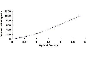 Typical standard curve