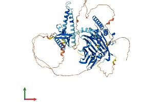 Protein Structure (PS) image for Oxysterol Binding Protein-Like 10 (OSBPL10) (AA 1-766) protein (His tag) (ABIN7565311)