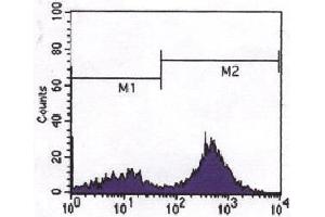 FCM analysis CD3 expressed in human peripheral blood cells. (CD3 抗体)