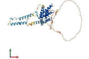 Protein Structure (PS) image for Small Nuclear RNA Activating Complex, Polypeptide 1, 43kDa (SNAPC1) (AA 1-368) protein (His tag) (ABIN7546214)