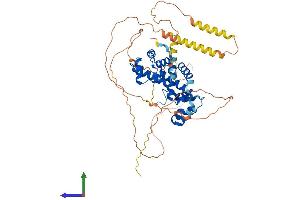 Protein Structure (PS) image for NGFI-A Binding Protein 1 (EGR1 Binding Protein 1) (NAB1) (AA 1-486) protein (His tag) (ABIN7557667)