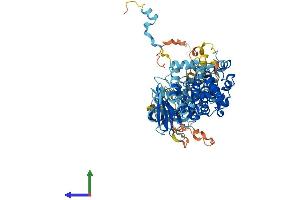 AlphaFold protein structure predicition of Mouse Recombinant Rps6ka1 Protein, UniprotID P18653