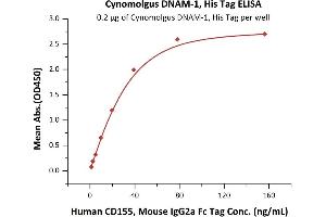 Immobilized Cynomolgus DNAM-1, His Tag (ABIN6386439,ABIN6388274) at 2 μg/mL (100 μL/well) can bind Human CD155, Mouse IgG2a Fc Tag, low endotoxin (ABIN4949085,ABIN4949086) with a linear range of 2-40 ng/mL (QC tested).
