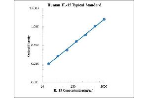 ELISA image for Interleukin 15 (IL15) ELISA Kit (ABIN2472074)
