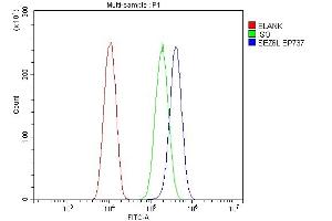 Flow Cytometry analysis of U20S cells using anti-SEZ6L antibody (ABIN7602260). (SEZ6L 抗体  (AA 662-953))